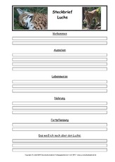 Luchs-Steckbriefvorlage.pdf